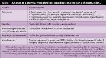 Table 1. Known or potentially nephrotoxic medications (not an exhaustive list).