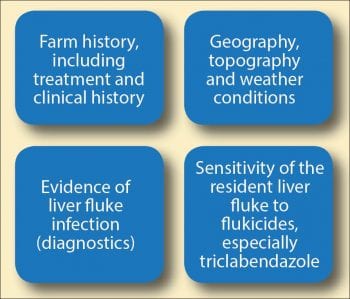 Figure 2. Points to consider when designing a liver fluke control programme.