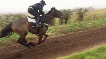 Figure 2b. Exercising endoscopy of horses being ridden.