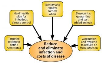 Controlling infectious diseases. Image: Biobest Laboratories