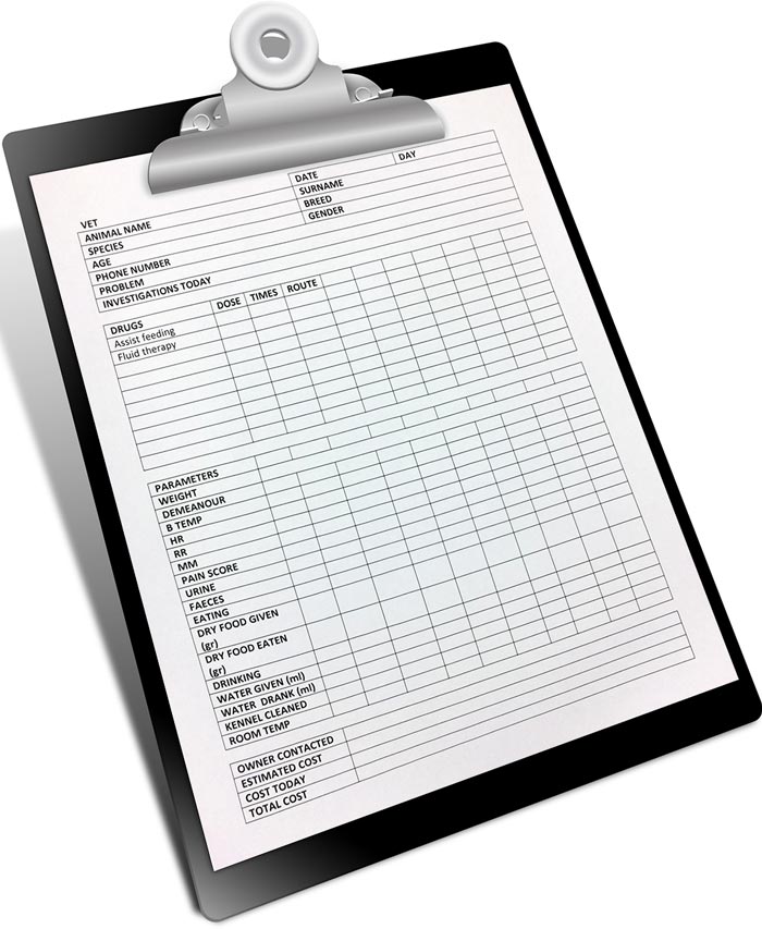 Figure 3. A detailed record is considered paramount during hospitalisation.