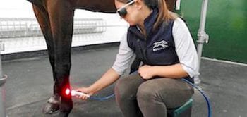 Figure 3. Laser therapy being performed.