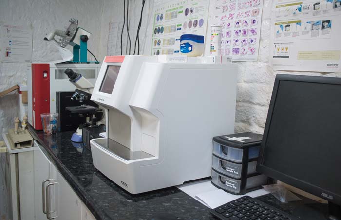 lab_DSC3909