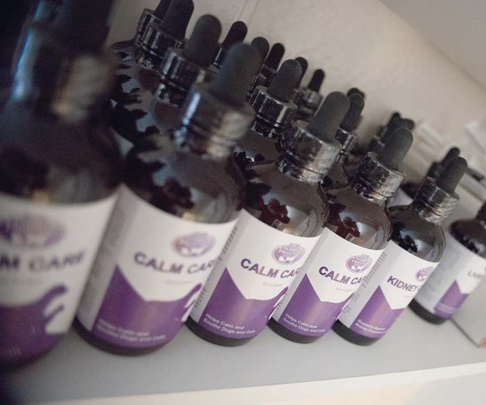 medicines_DSC3927