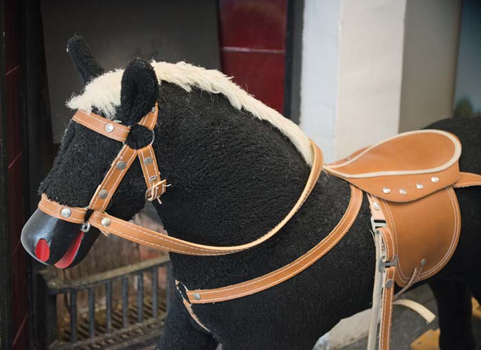 rocking-horse_DSC3903