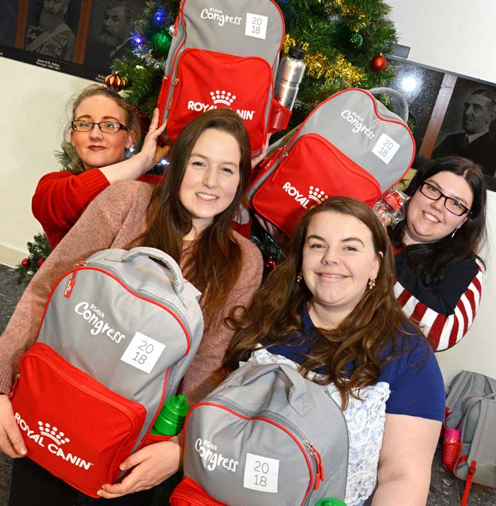 ChristmasBags2
