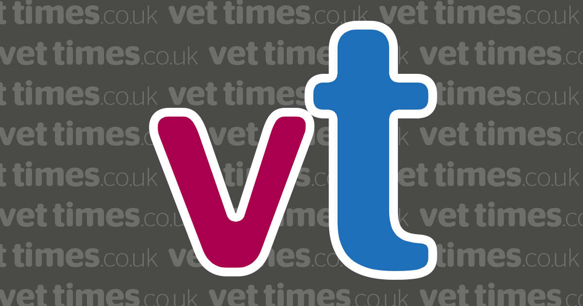 Denplan vets shop