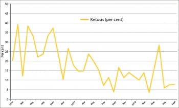 Figure 1. Ketosis incidence has declined on the target farm over a three-year period, from 31% to 8%.