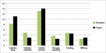 Figure 2. Time budget analysis showed cows were standing for too long due to heat stress. In addition, observations showed high cow numbers looking to feed when fresh food was presented, rather than an even distribution throughout the day.