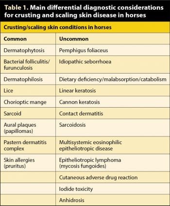 Table 1. Main differential diagnostic considerations for crusting and scaling skin disease in horses.