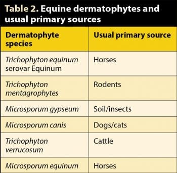 Table 2. Equine dermatophytes and usual primary sources.