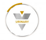 Urinary_wheel