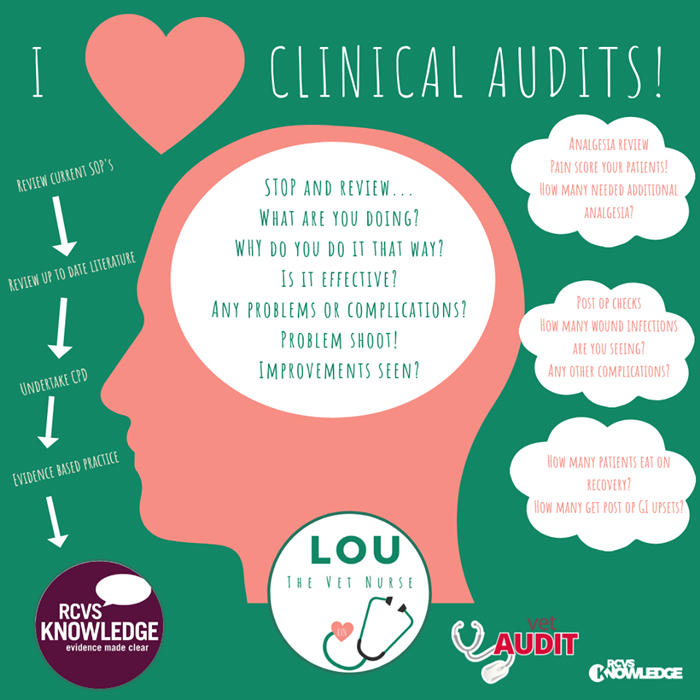 Lou-the-Vet-Nurse-clinical-audits