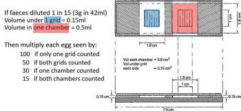 Figure 2. Calculating faecal egg count with the McMaster chamber.