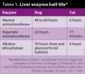 Table 1. Liver enzyme half-life*.