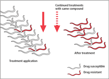 Figure 1. Simplistic representation of development of anthelmintic resistance in parasitic nematodes.