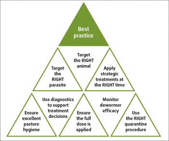 Figure 4. Core principles of best practice helminth control.