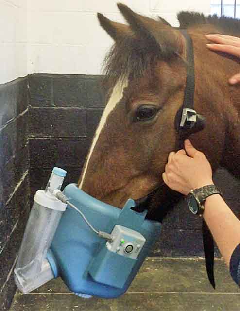 Figure 7. Nebulisers are an effective means of delivering medication to the lower airways, providing the airways are not overly constricted or occluded. Their use is not appropriate in horses with acute disease and increased respiratory effort. 