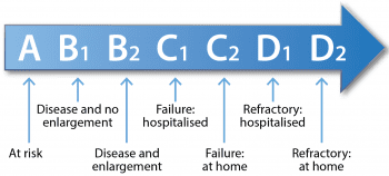 Figure 2. A staging summary from the American College of Veterinary Internal Medicine.
