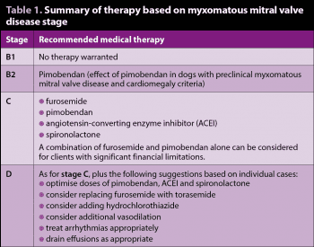 Table 1. Summary of therapy based on myxomatous mitral valve disease stage.
