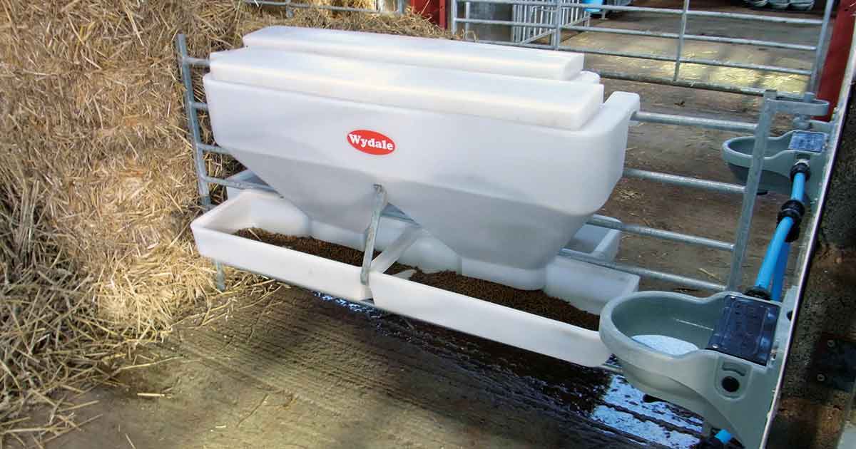 Figure 1. Clean water and fresh starter feed are important to maximise intakes.