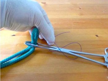 Figures 9 to 12. Suture tie using forceps.
