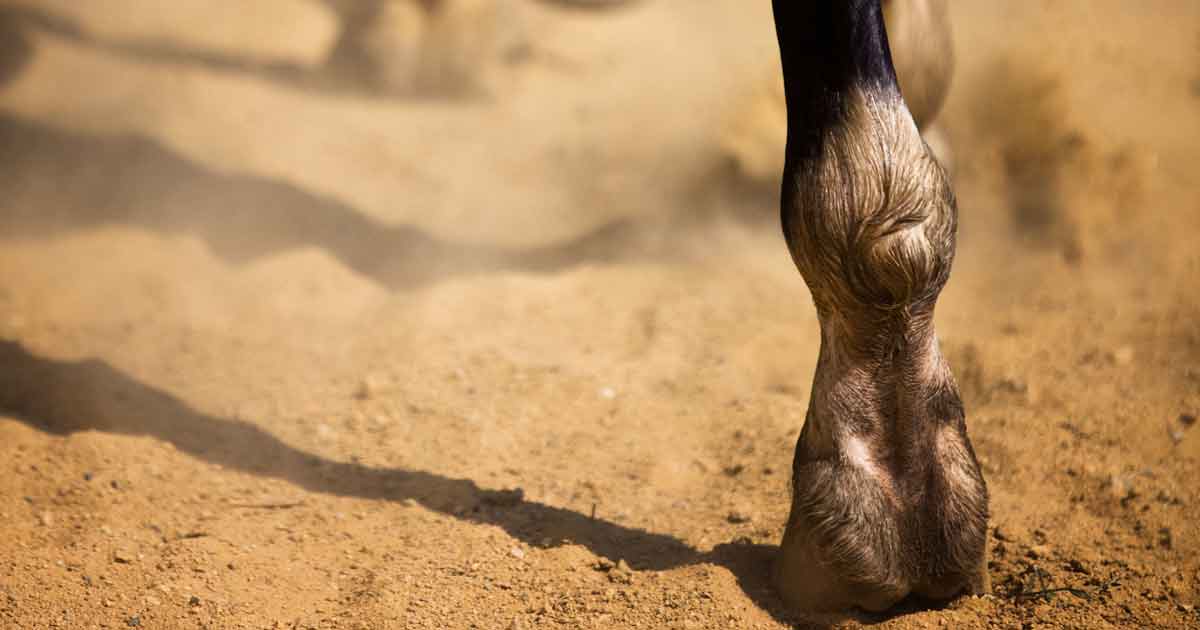 Image: © Rade Lukovic / Adobe Stock