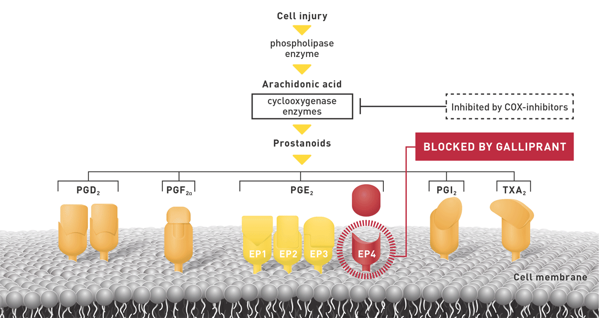 OA-panel