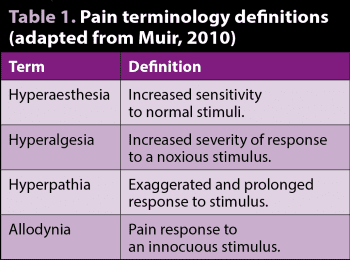 Table 1. Pain terminology definitions (adapted from Muir, 2010).