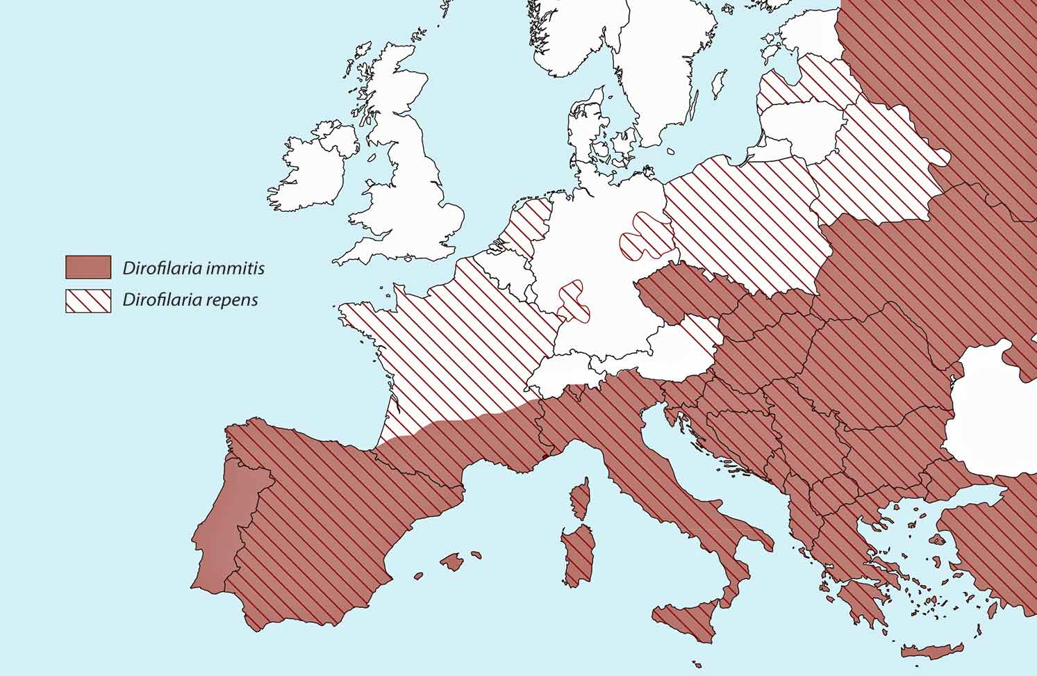 Figure 2. Approximate distribution of Dirofilaria immitis and Dirofilaria repens in Europe as of 2015. Image: European Scientific Counsel Companion Animal Parasites