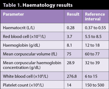 Table 1. Haematology results.