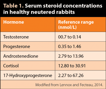 Table 1. Serum steroid concentrations in healthy neutered rabbits.