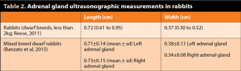 Table 2. Adrenal gland ultrasonographic measurements in rabbits.