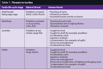 Table 1. Threats to turtles.
