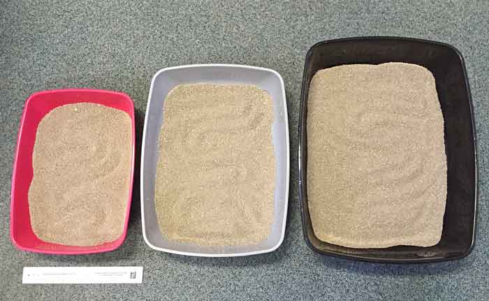 Figure 3. Carers should be advised to provide large litter boxes for their cat, ideally the litter box should be 1.5 times their cat’s length from tip of its nose to the base of the tail.