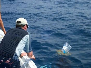 Figure 3a. Ghost nets can look like plastic bottles floating on the sea. Image: Olive Ridley Project.