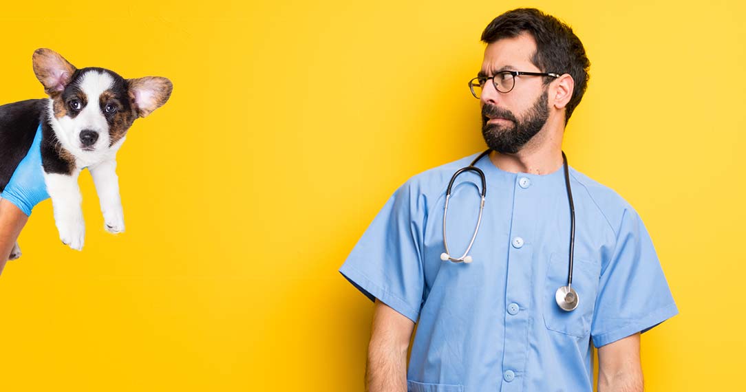 Vet looking nervous next to dog being held.