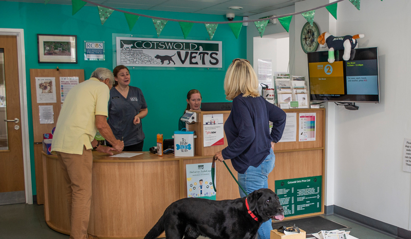 Clients-Cotswold-Vets_DSC7622-2