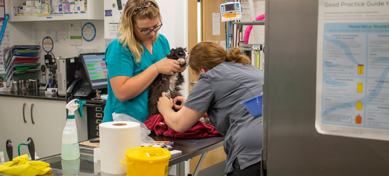 Prep-room-Cotswold-Vets_DSC7344