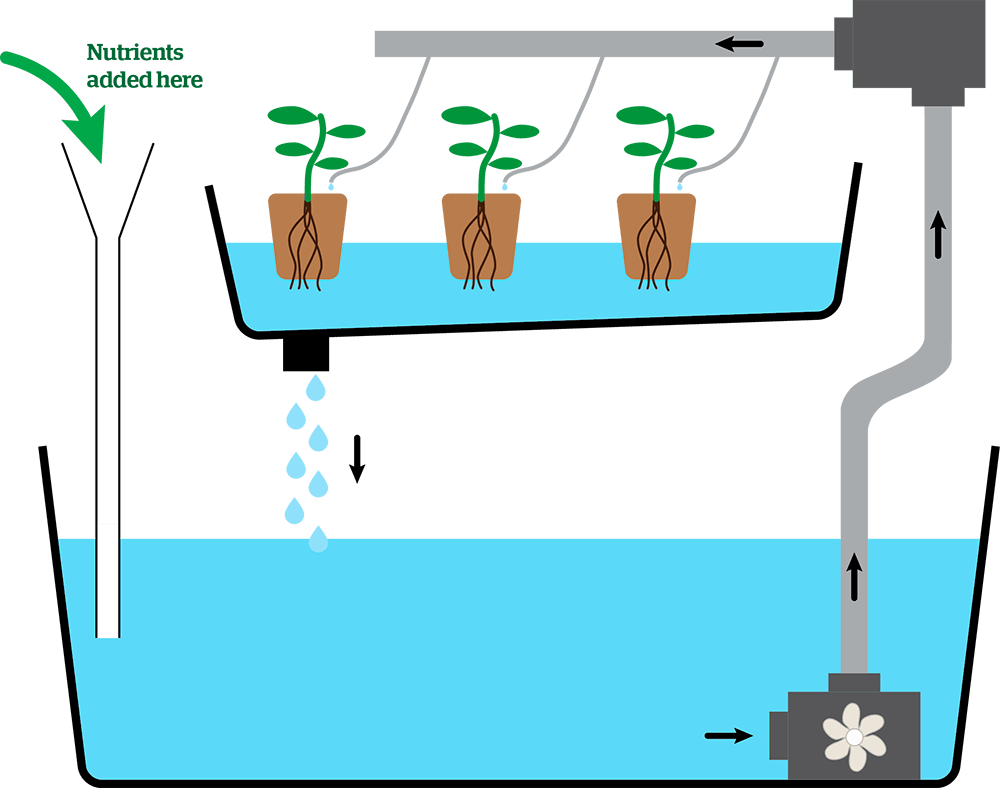 Hydroponics