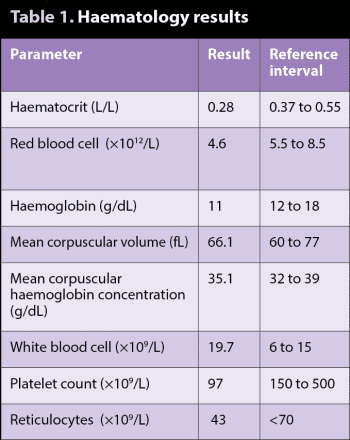 Table 1. Haematology results.