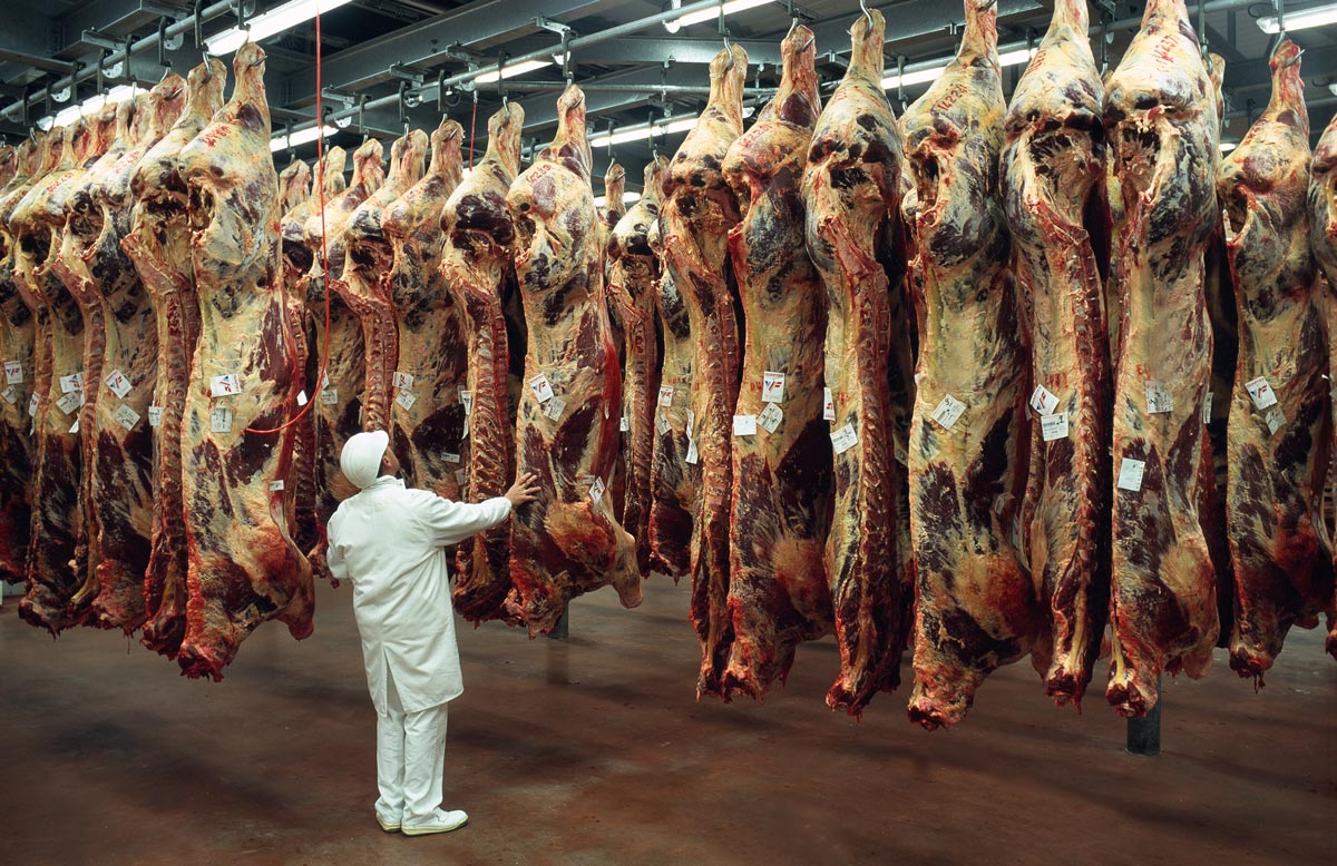 abattoir