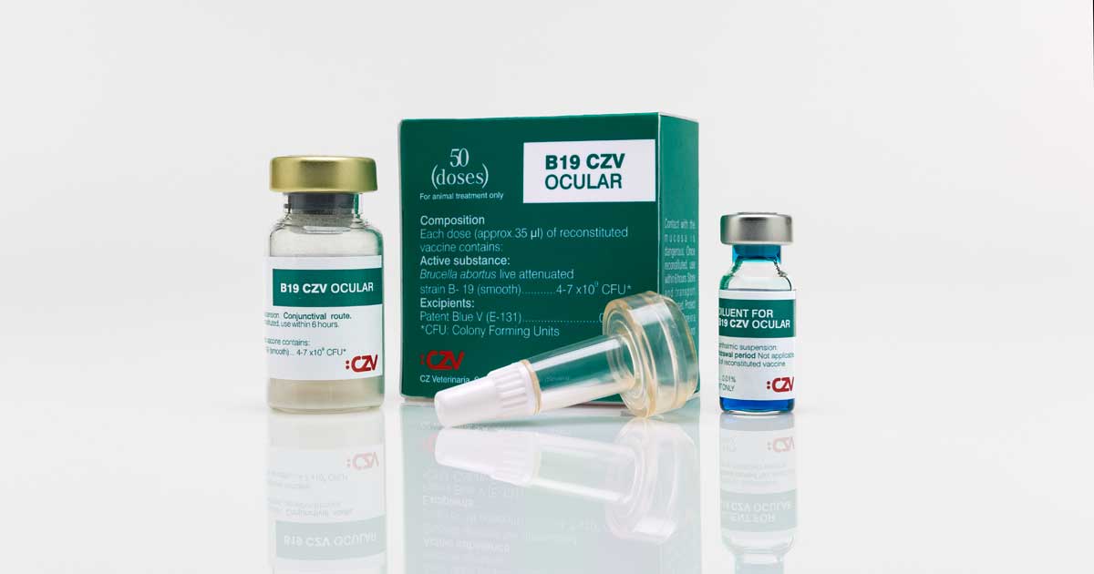 Easy To Administer Vaccine For Brucellosis In Cattle Released Vet Times