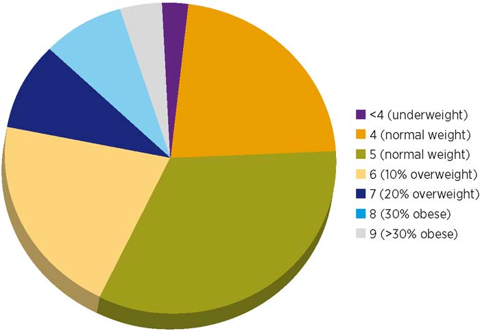 <strong>Figure 3.</strong> A pie chart showing the body condition score of 936 dogs.
