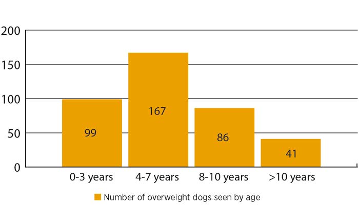 <strong>Figure 5.</strong> Number of overweight dogs by age.