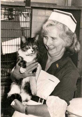Marcia Kirk was head nurse at the RVC’s Beaumont Animal Hospital in Camden for many years.