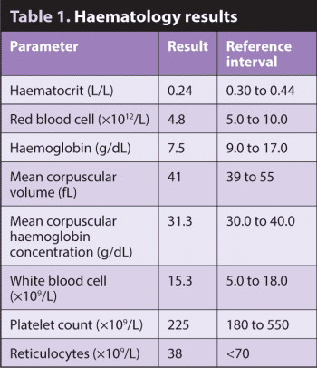 Table 1. Haematology results.