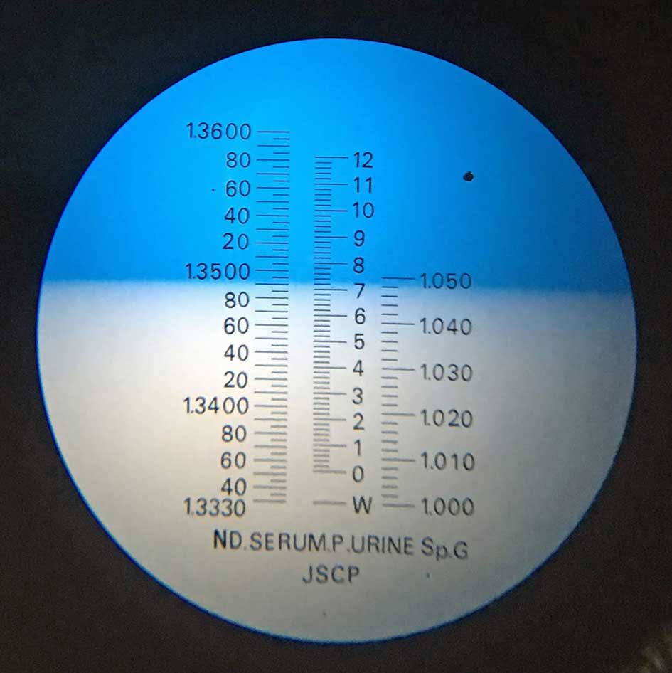 Figure 1. Scale reading on a handheld refractometer.