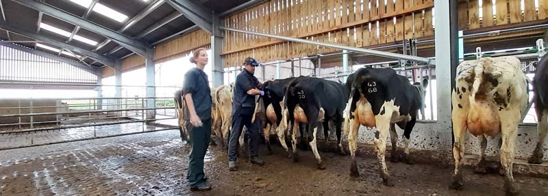 Scanning-On-Farm-2