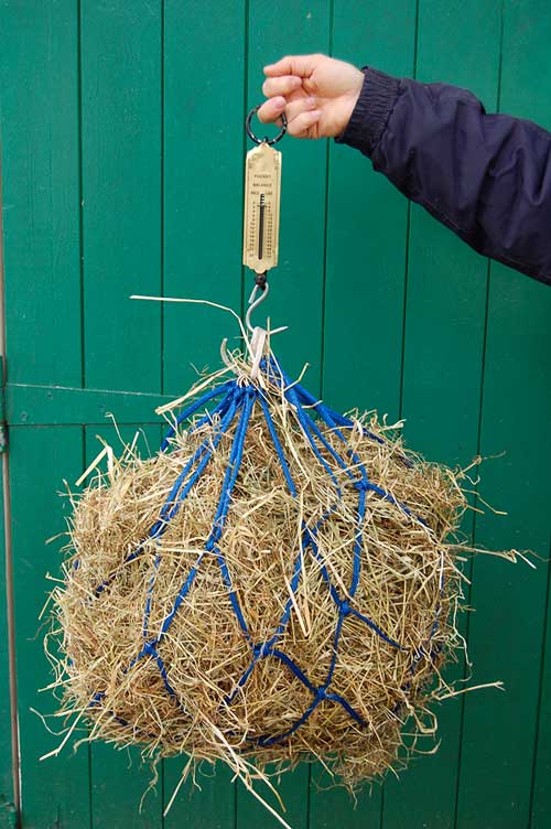 Figure 7. Owners have a poor understanding of the amount of hay that ought to be fed to maintain a healthy body condition. Hay nets should be weighed prior to every feed to prevent a return to bad habits.